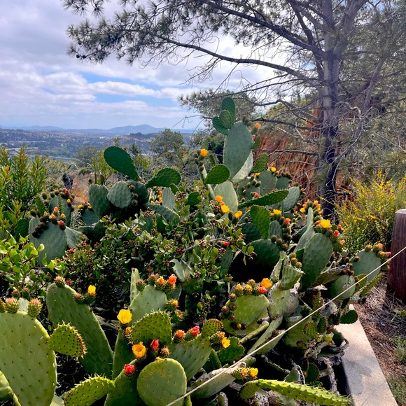 Meet your Posher, Tabitha - Picture 1 of 1